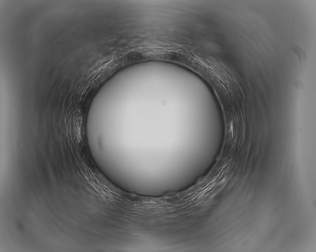 X0000112011348200908031013