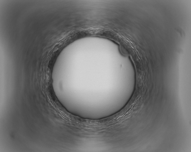 X0000112011349200908031013