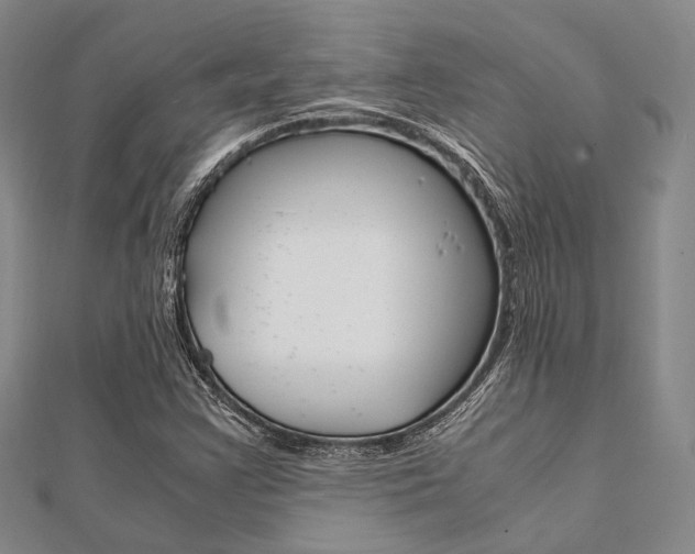 X0000112011355200908031013