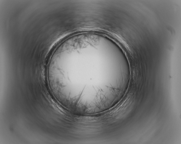 X0000112011356200908031013