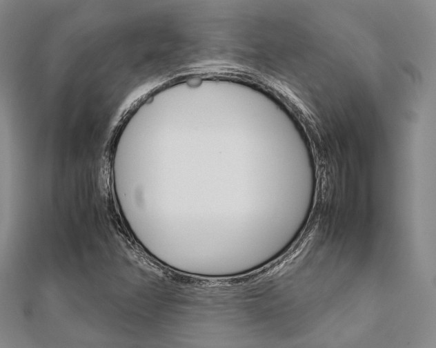 X0000112011358200908031013