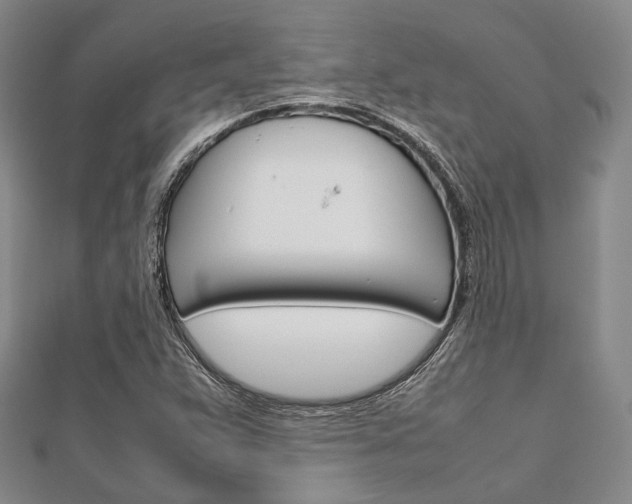 X0000112011359200908031013