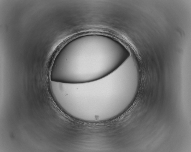 X0000112011360200908031013