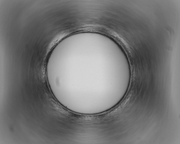 X0000112011362200908031013
