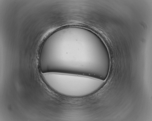 X0000112011363200908031013