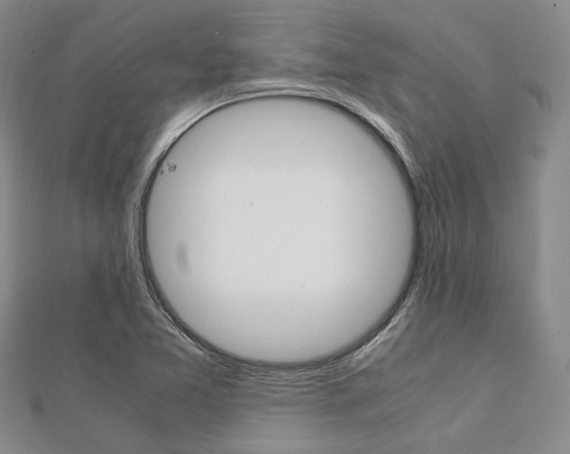 X0000112011365200908031013