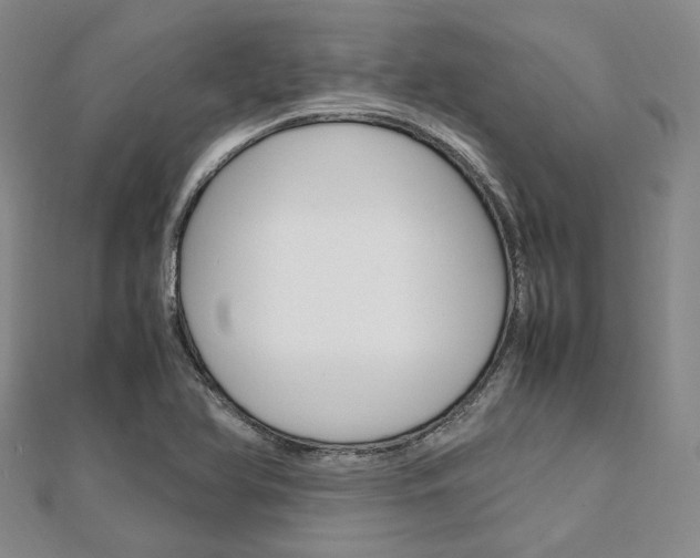 X0000112011366200908031013