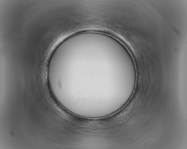 X0000112011367200908031013