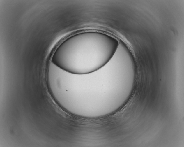 X0000112011368200908031013