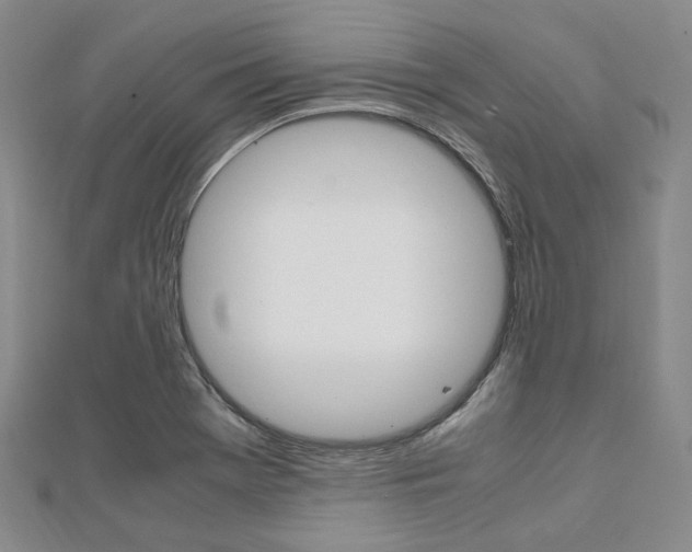X0000112011369200908031012