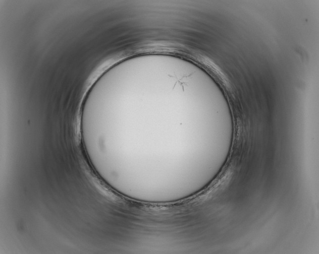 X0000112011370200908031012