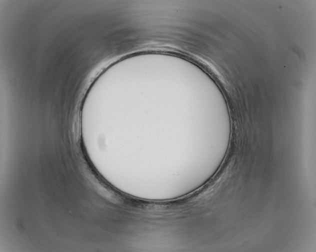 X0000112011371200908031012