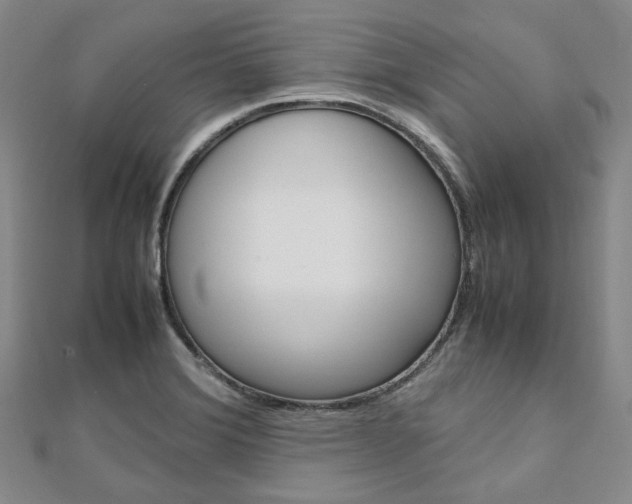 X0000112011372200908031012