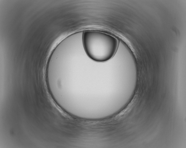 X0000112011373200908031012