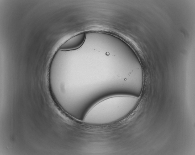 X0000112011375200908031012
