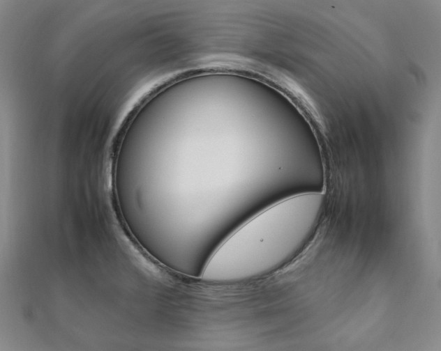 X0000112011376200908031012