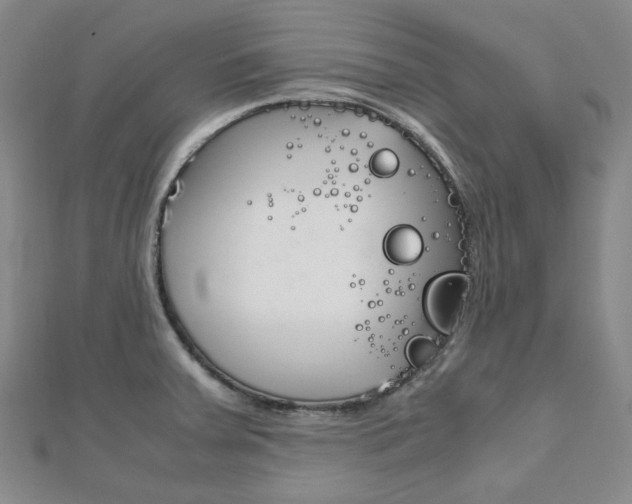 X0000112011379200908031012