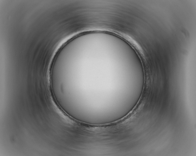 X0000112011380200908031012