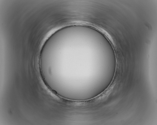 X0000112011381200908031012