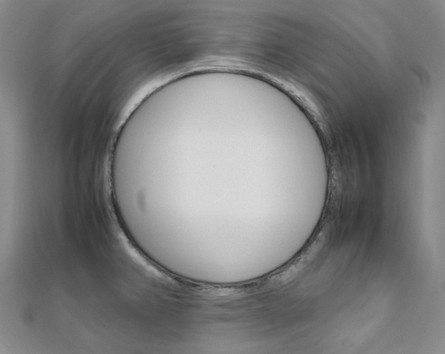 X0000112011382200908031012