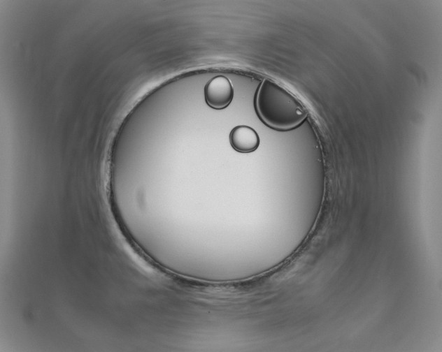 X0000112011383200908031012