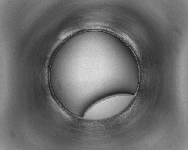X0000112011384200908031012