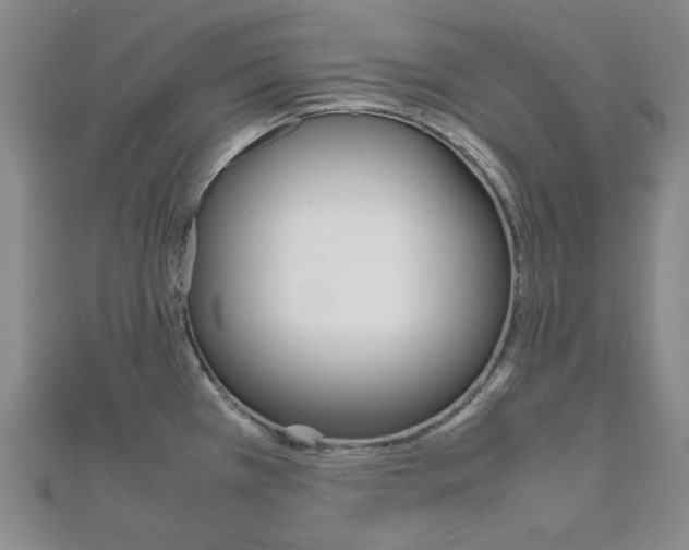 X0000112011385200908031012