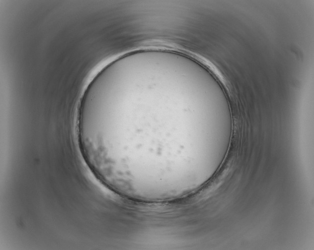 X0000112011387200908031012