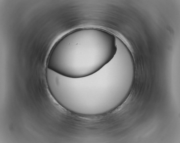 X0000112011388200908031012