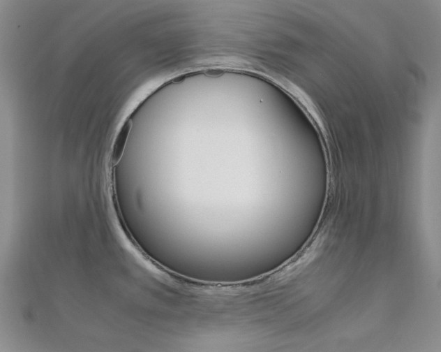 X0000112011389200908031012