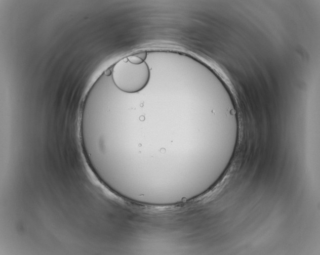 X0000112011390200908031012