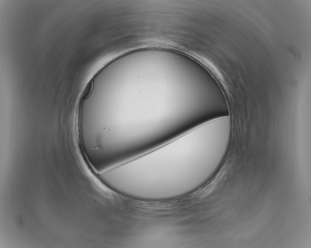 X0000112011391200908031012