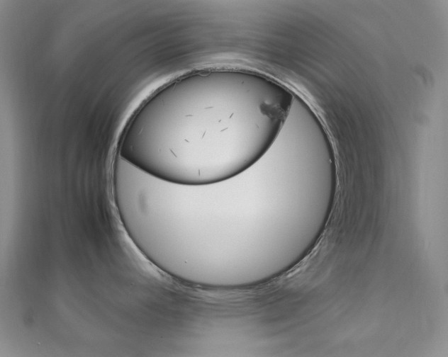 X0000112011392200908031012
