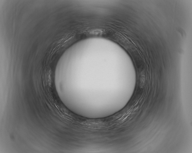 X0000112011394200908031011
