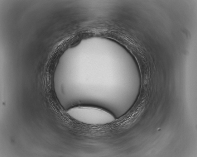 X0000112011398200908031011