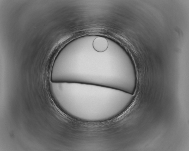 X0000112011402200908031012