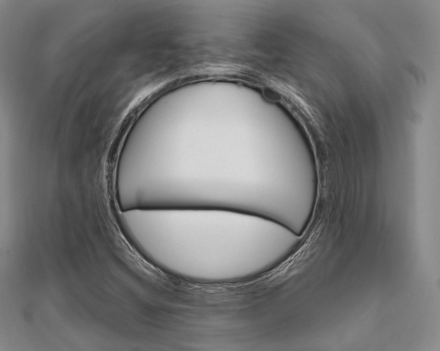 X0000112011404200908031012