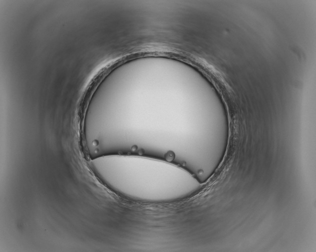 X0000112011408200908031012