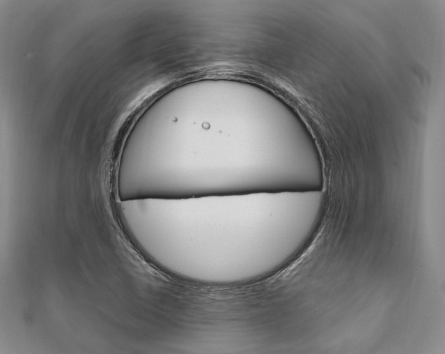 X0000112011410200908031012