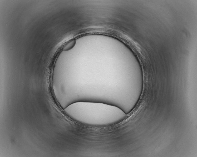 X0000112011411200908031012