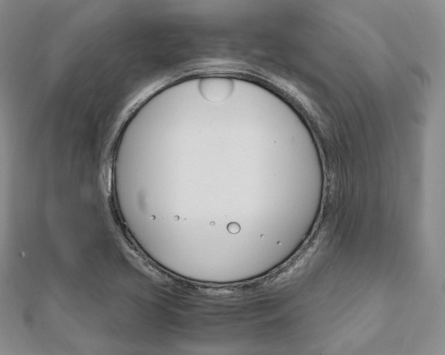 X0000112011413200908031012
