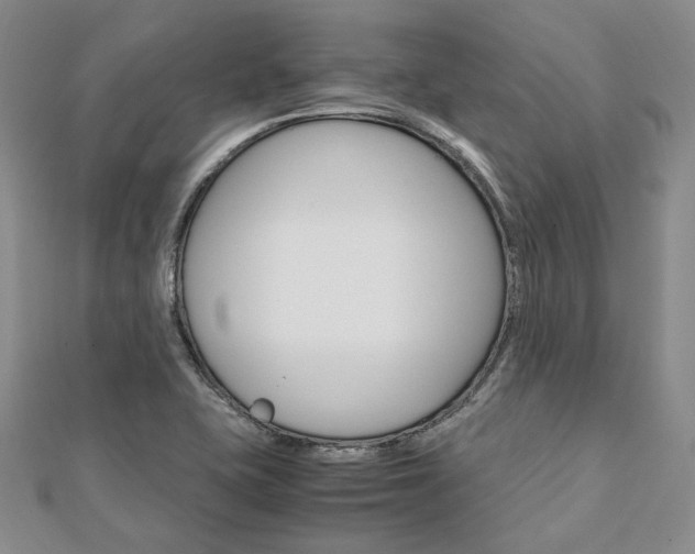 X0000112011415200908031012