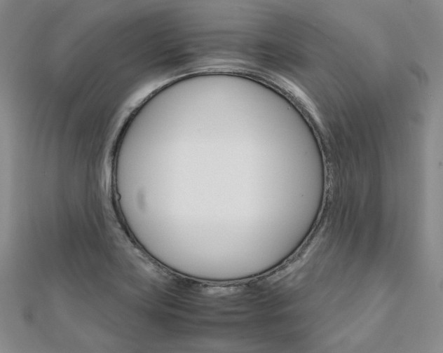 X0000112011419200908031012