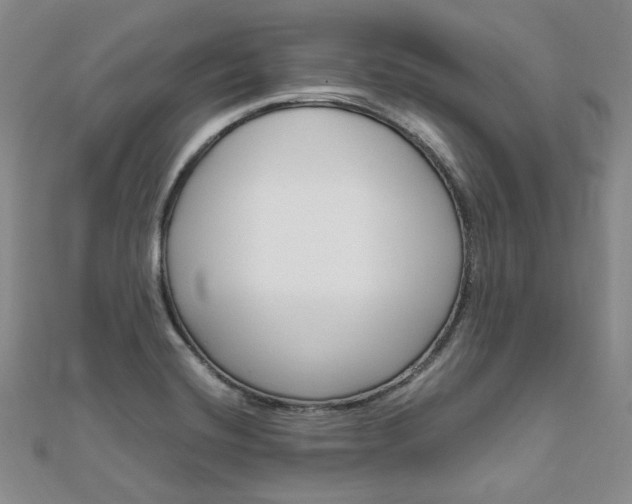 X0000112011420200908031012