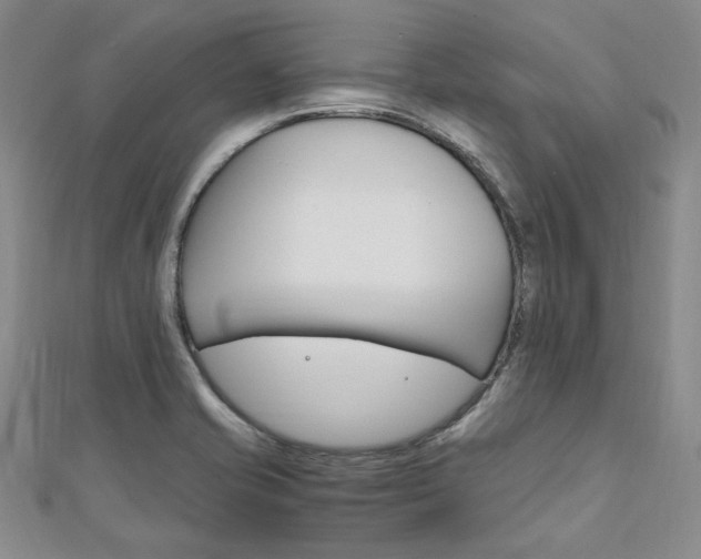 X0000112011421200908031012