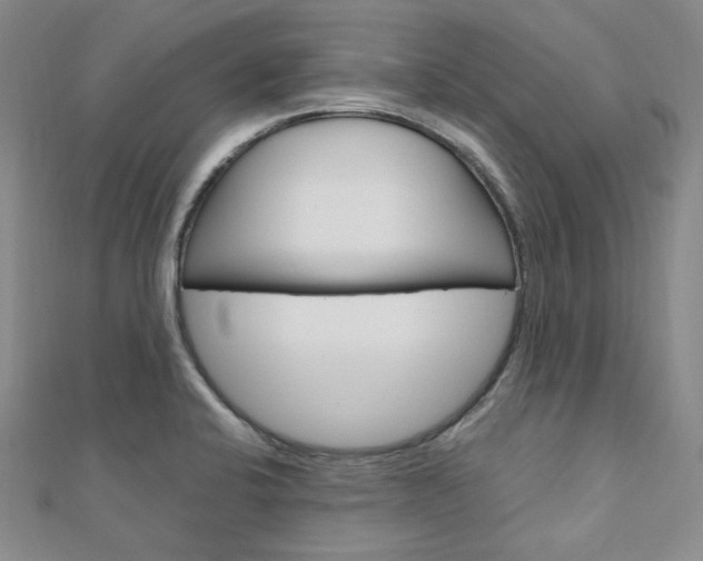 X0000112011424200908031012