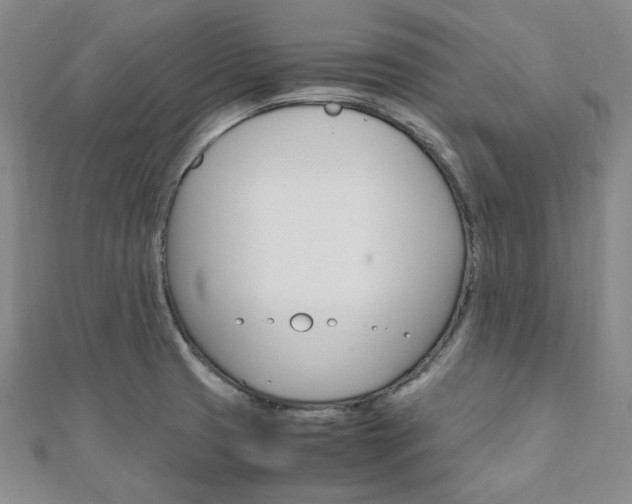 X0000112011425200908031012