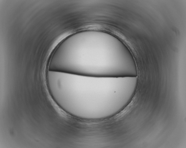 X0000112011426200908031012