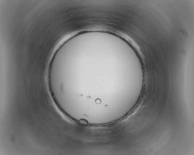 X0000112011429200908031012