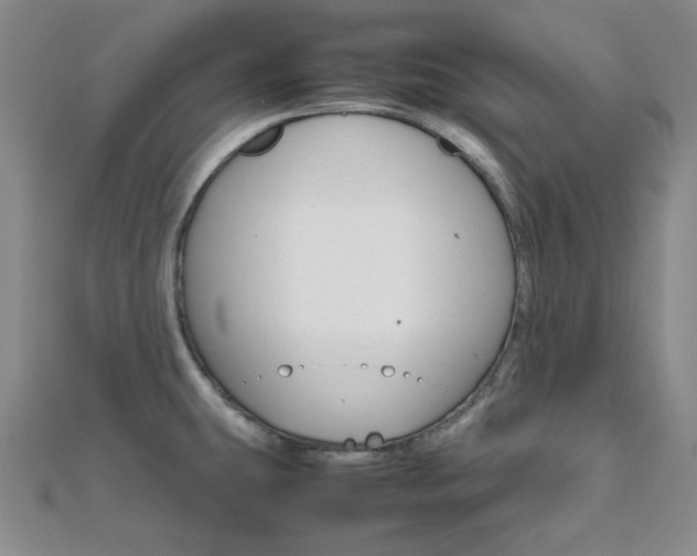 X0000112011431200908031012